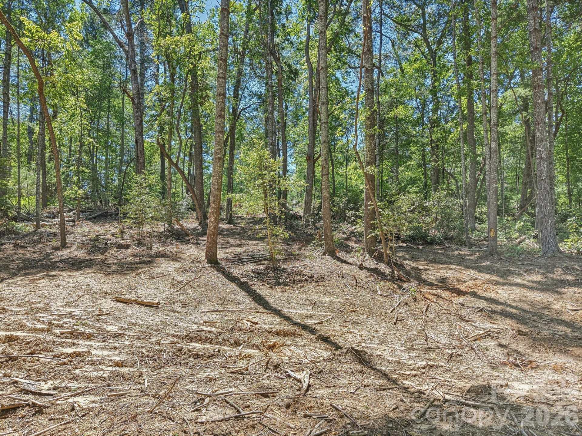 000 Ravenwood Drive #6 - Photo 12