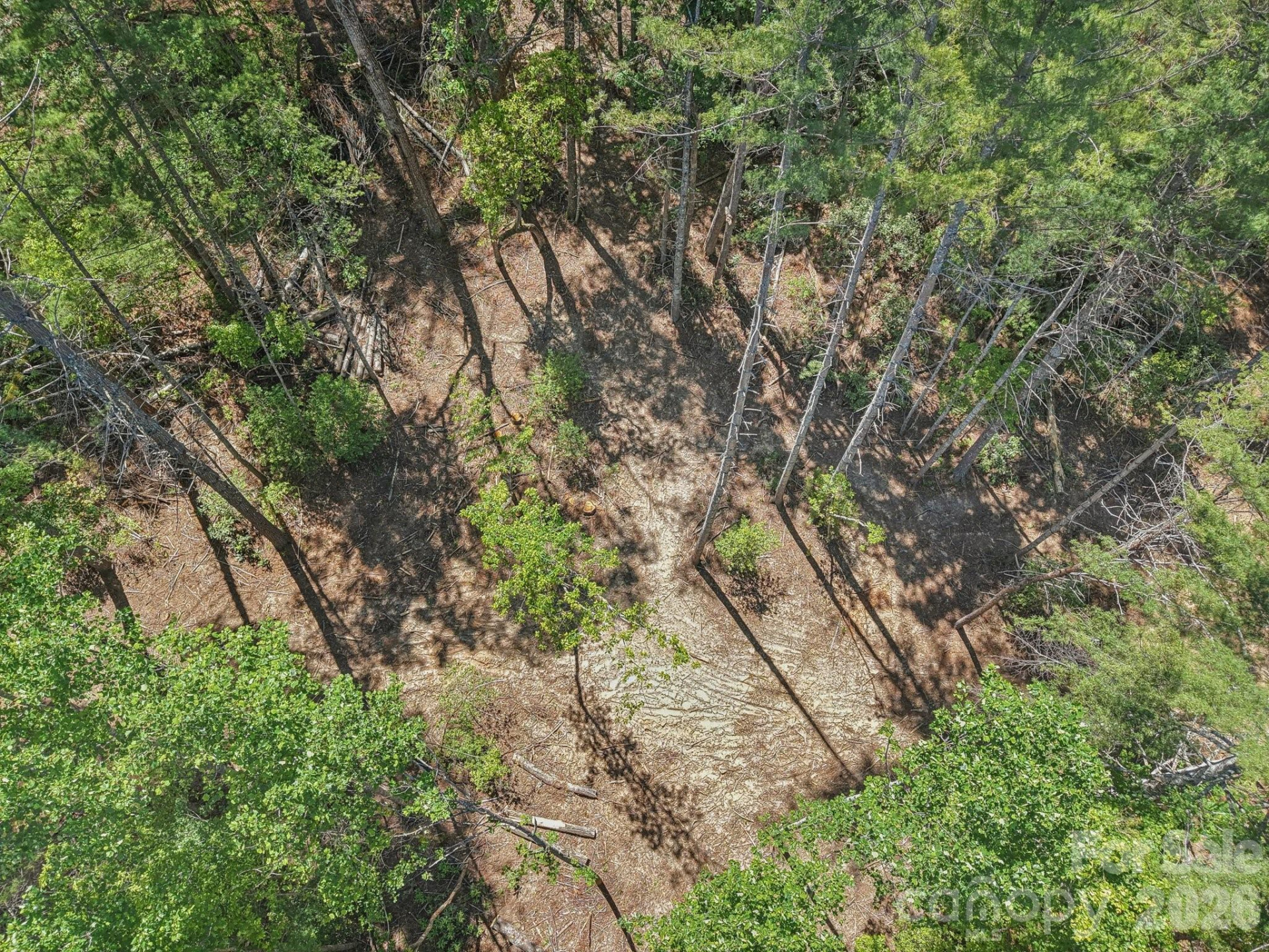 000 Ravenwood Drive #6 - Photo 13