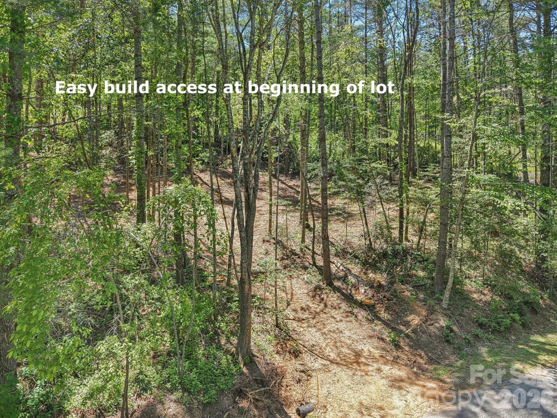 000 Ravenwood Drive #6 - Photo 14