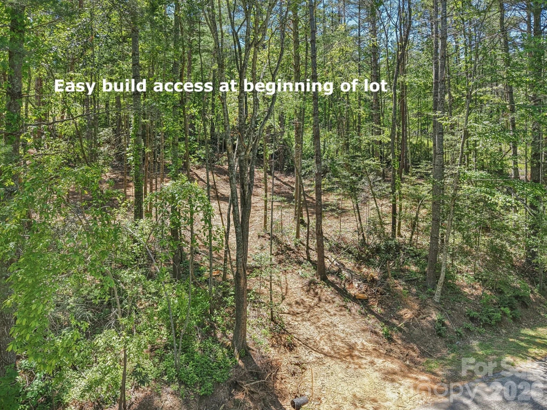 000 Ravenwood Drive #6 - Photo 14