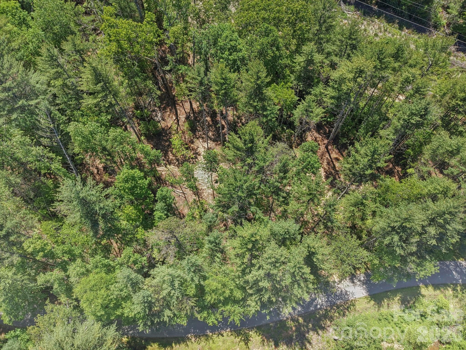 000 Ravenwood Drive #6 - Photo 15