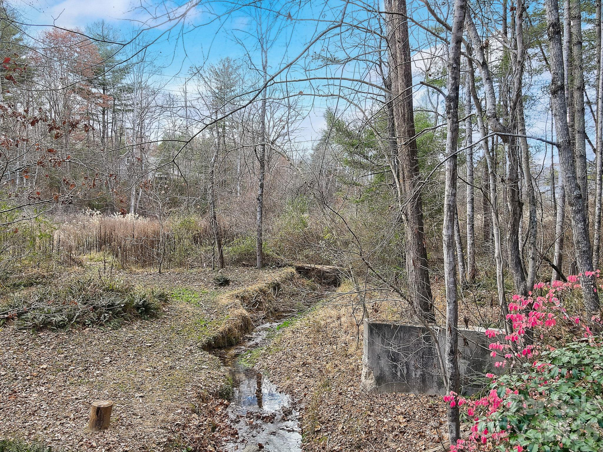 000 Ravenwood Drive #6 - Photo 16