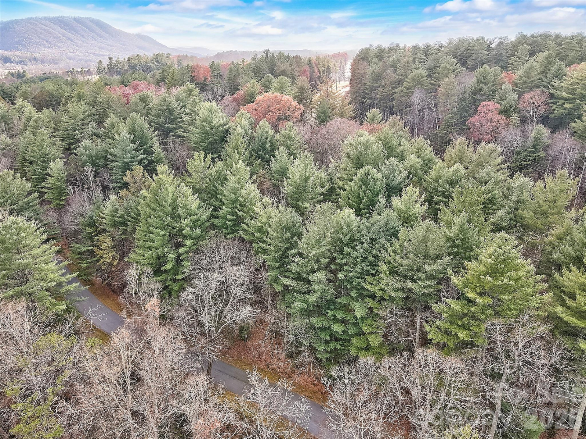 000 Ravenwood Drive #6 - Photo 3