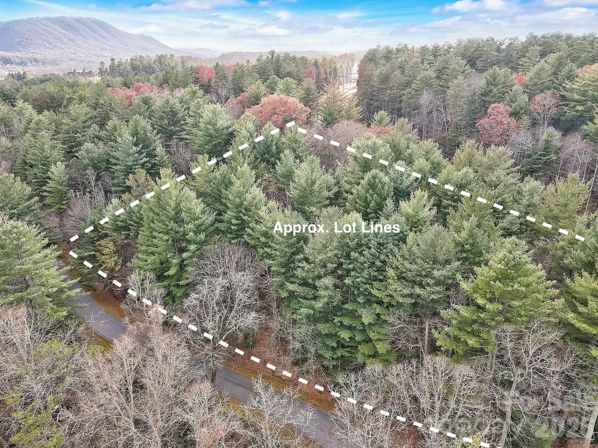 000 Ravenwood Drive #6 - Photo 4