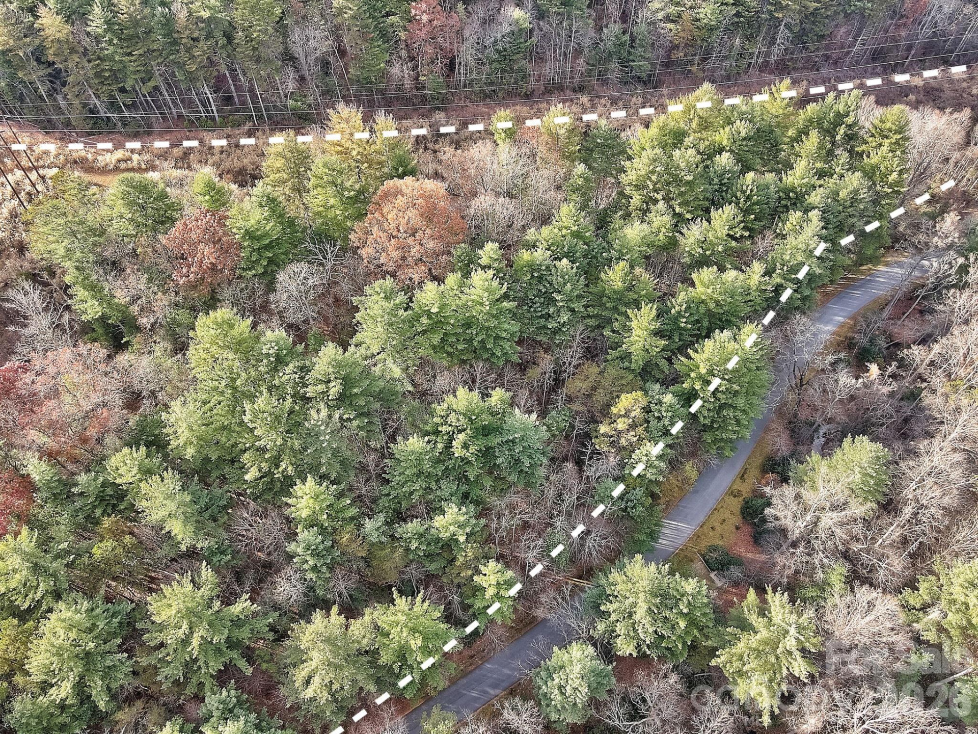 000 Ravenwood Drive #6 - Photo 5