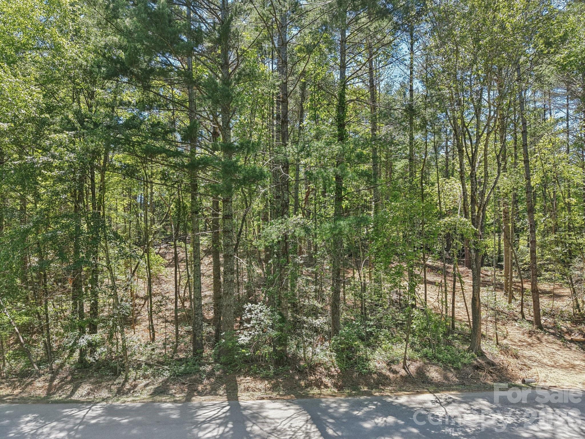 000 Ravenwood Drive #6 - Photo 7