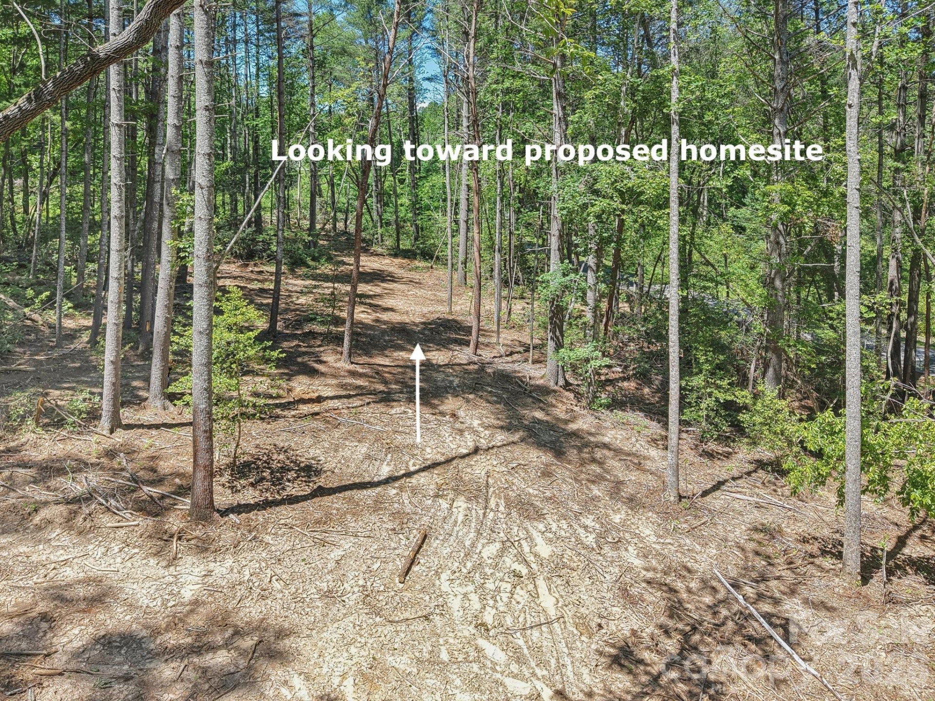 000 Ravenwood Drive #6 - Photo 8