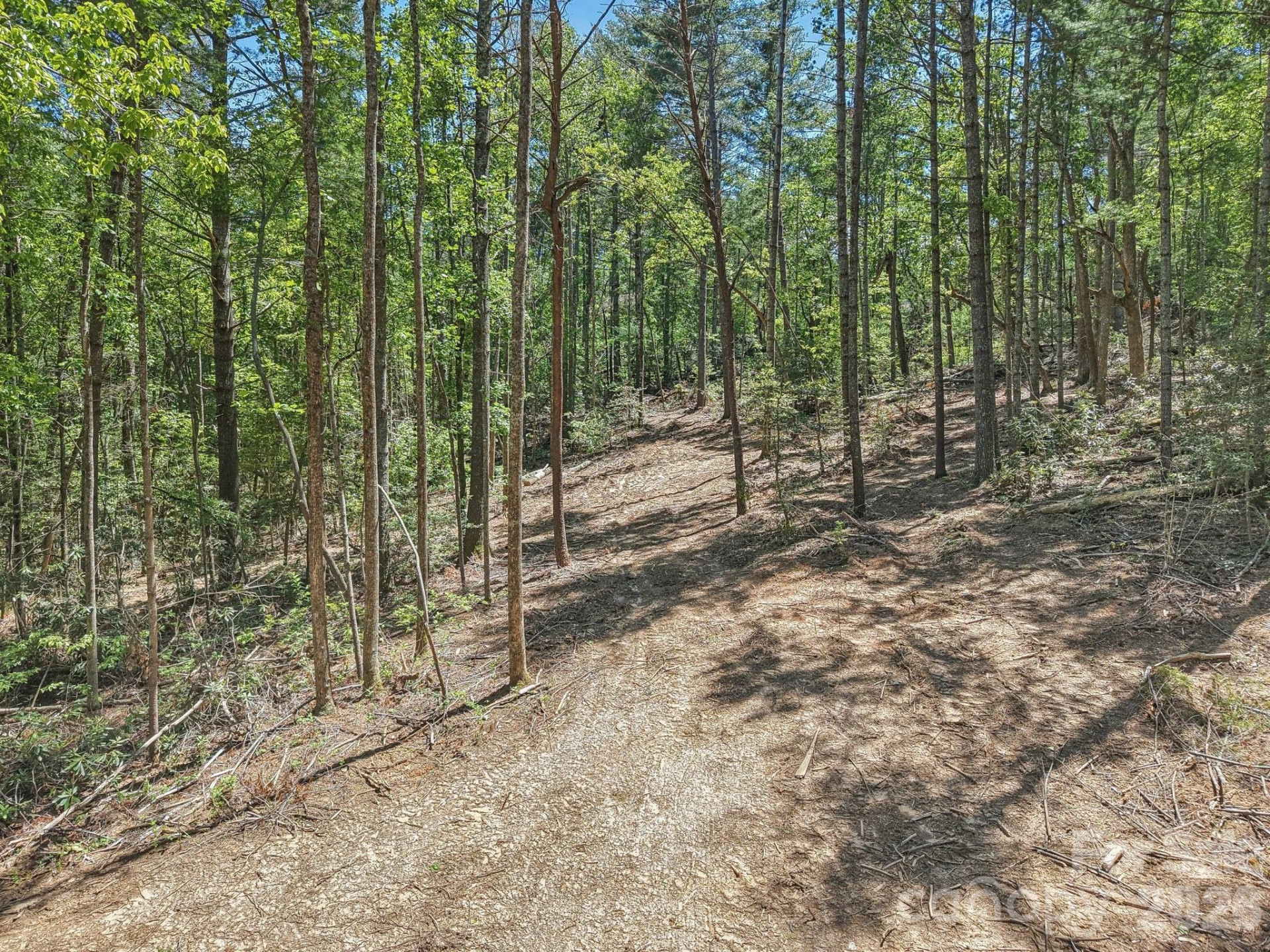 000 Ravenwood Drive #6 - Photo 9