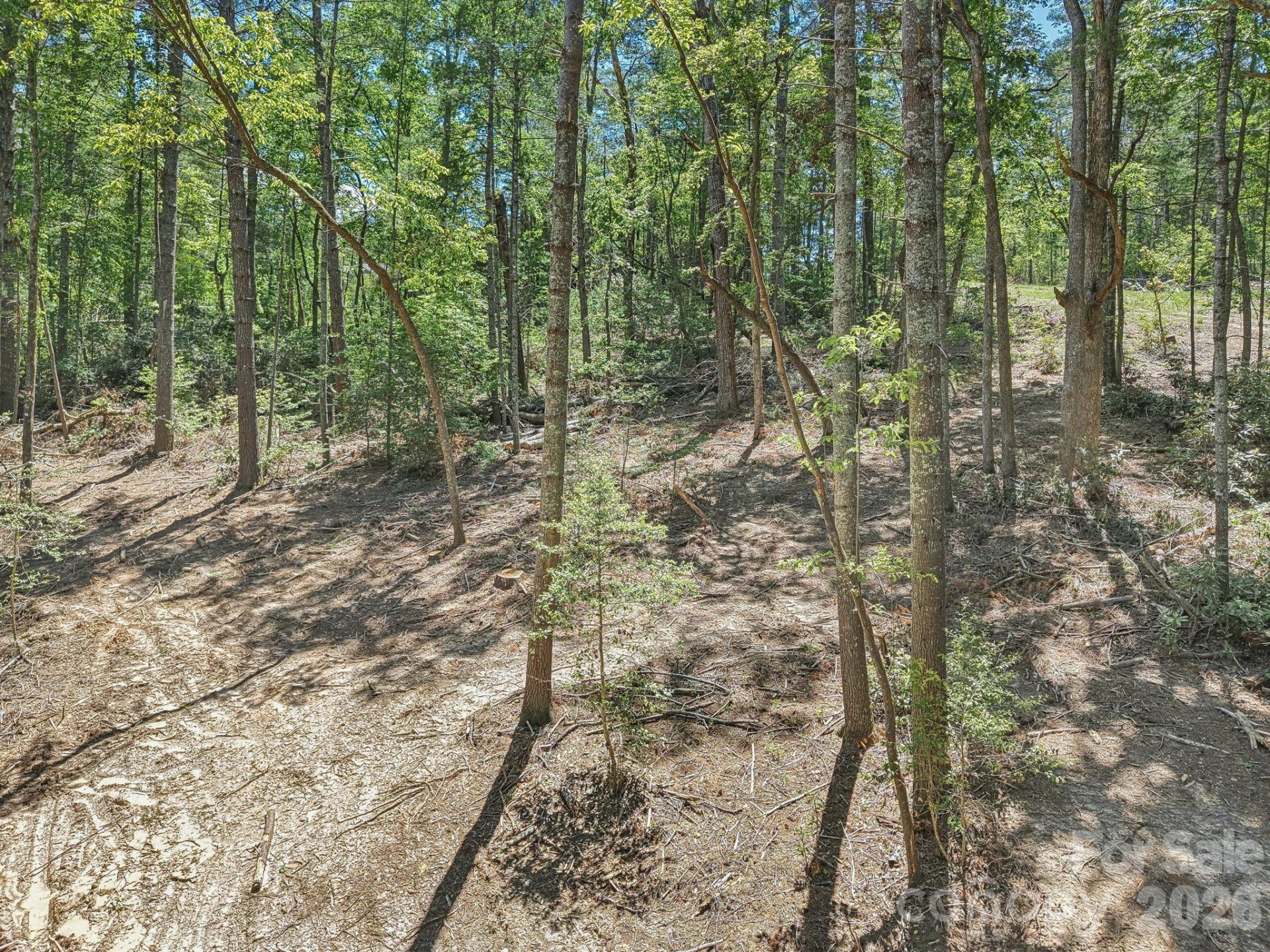 000 Ravenwood Drive #6 - Photo 10