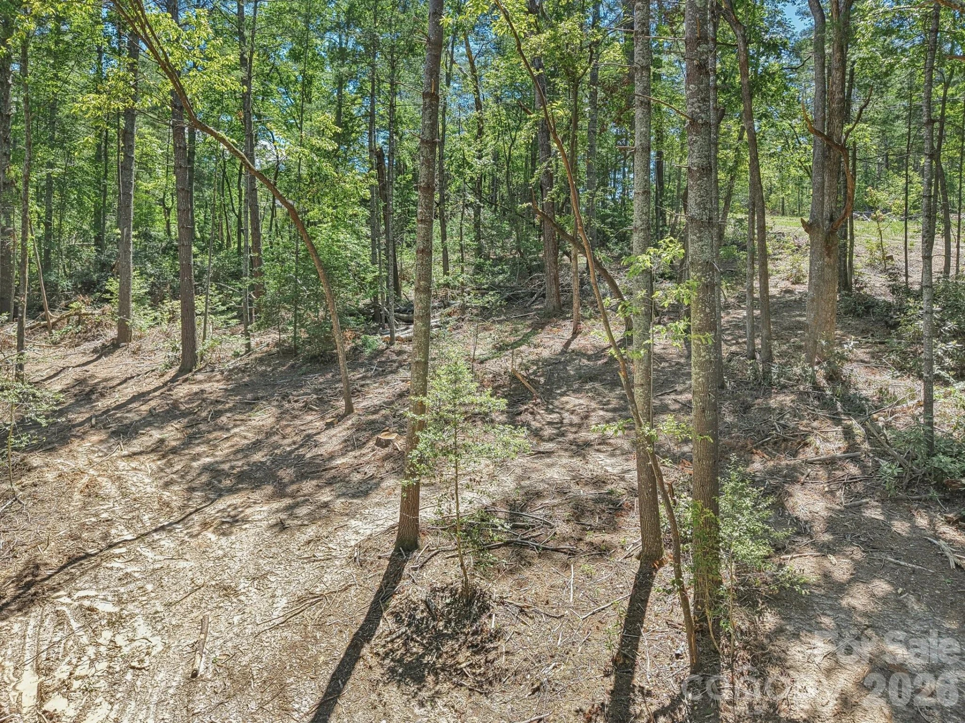 000 Ravenwood Drive #6 - Photo 10