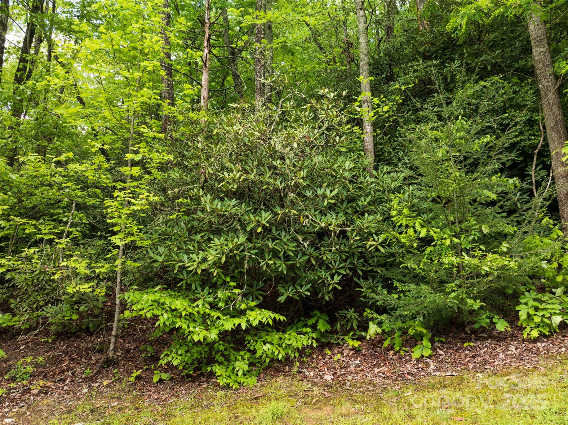 52 Settings Boulevard - Photo 4