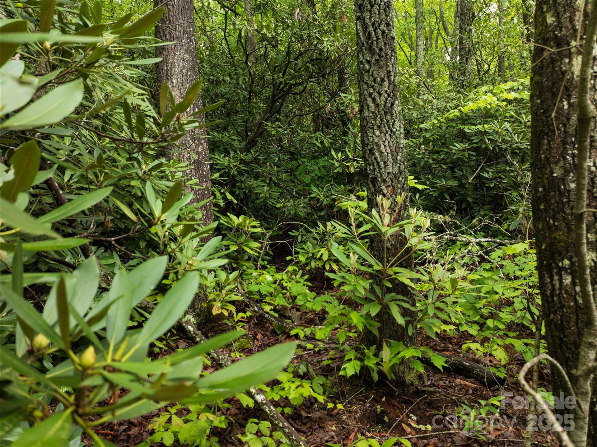 52 Settings Boulevard - Photo 7