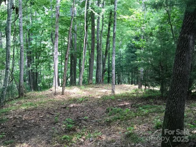 68 Fallsbrook Drive, Tuckasegee, NC, 28783