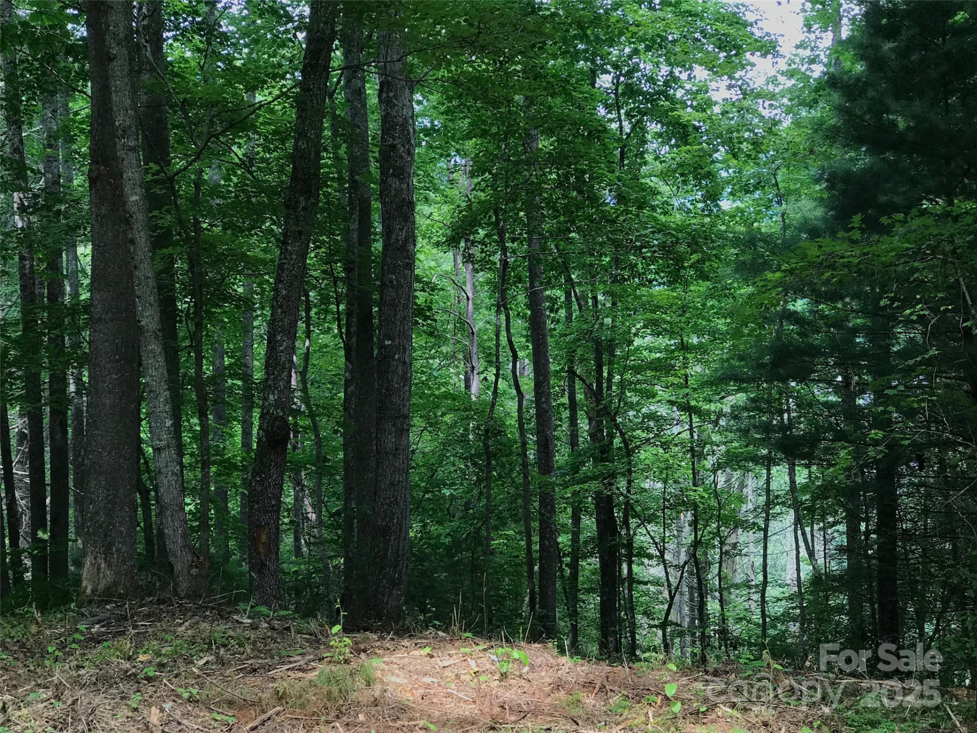 68 Fallsbrook Drive - Photo 2