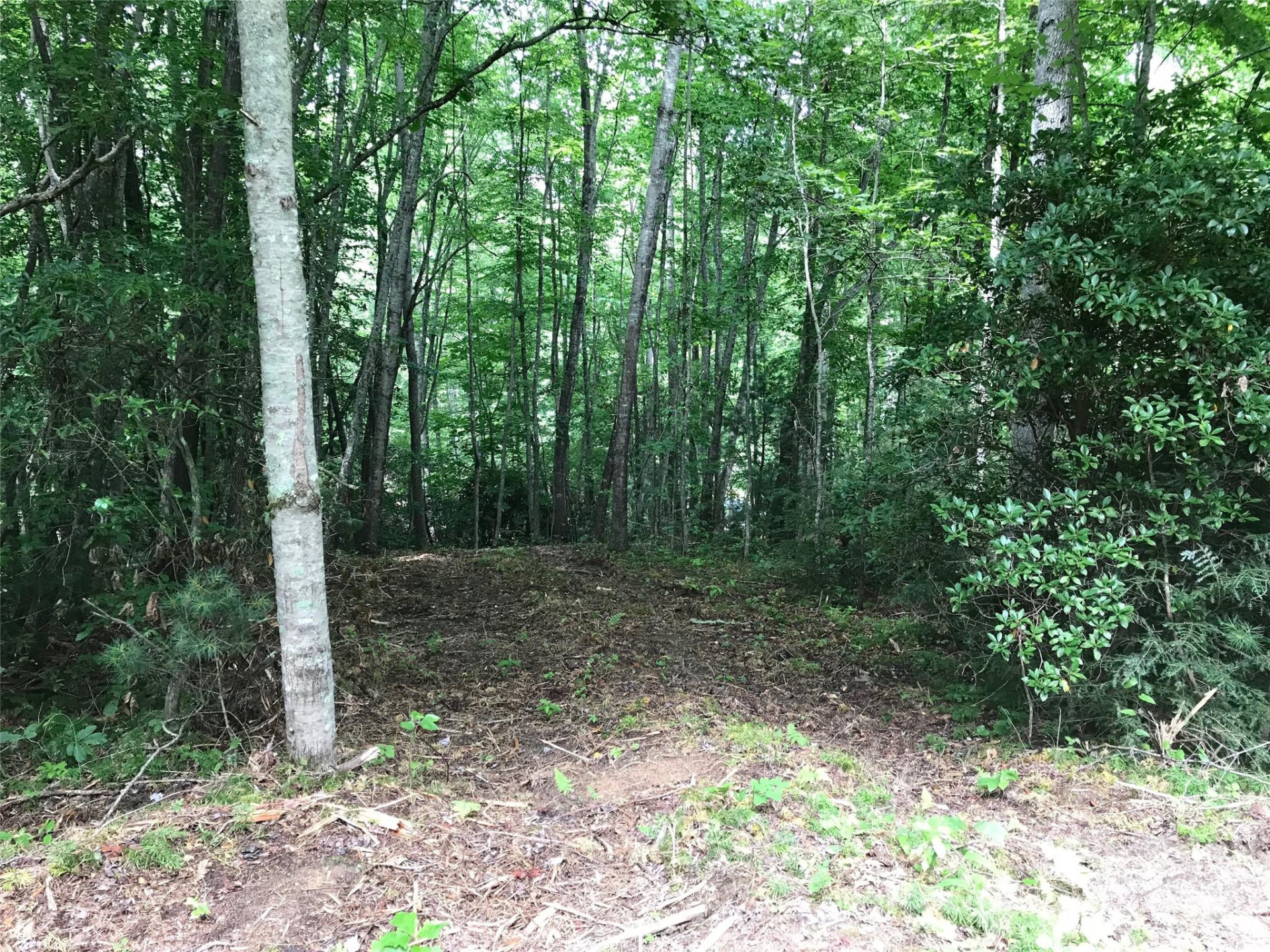 68 Fallsbrook Drive - Photo 3