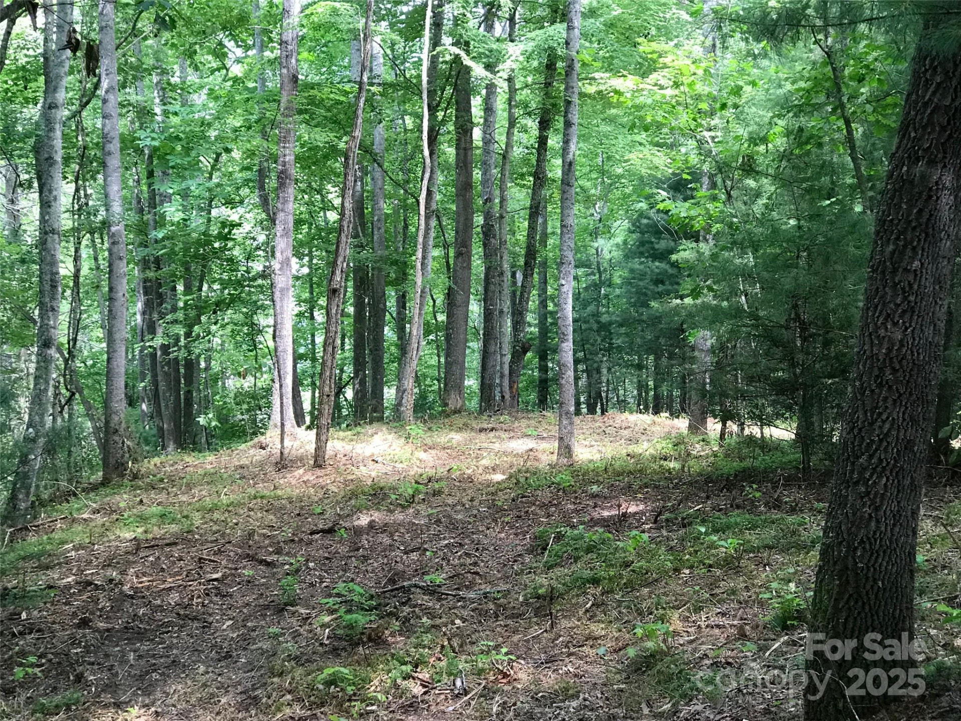 68 Fallsbrook Drive - Photo 4