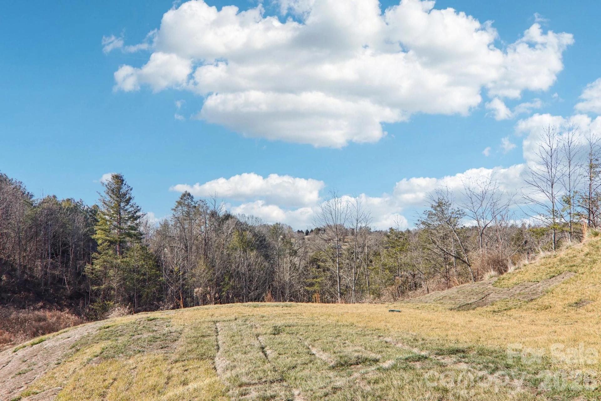 827 Adelston Lane - Photo 41