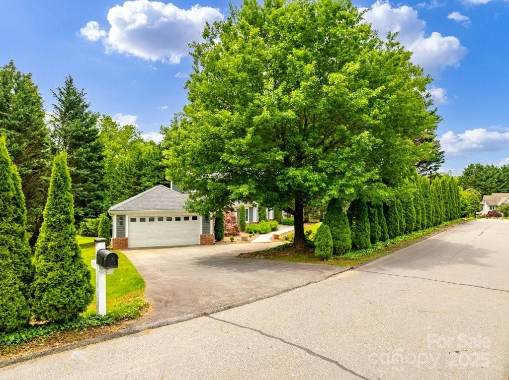 74 Eastmoor Drive - Photo 2