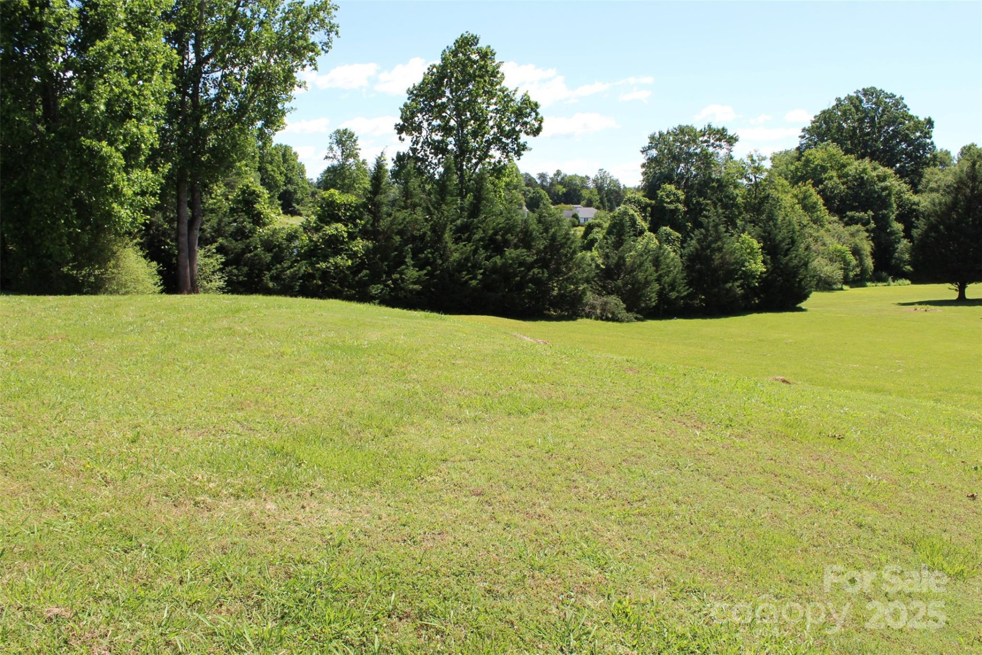 <1AC Thompson Road - Photo 14