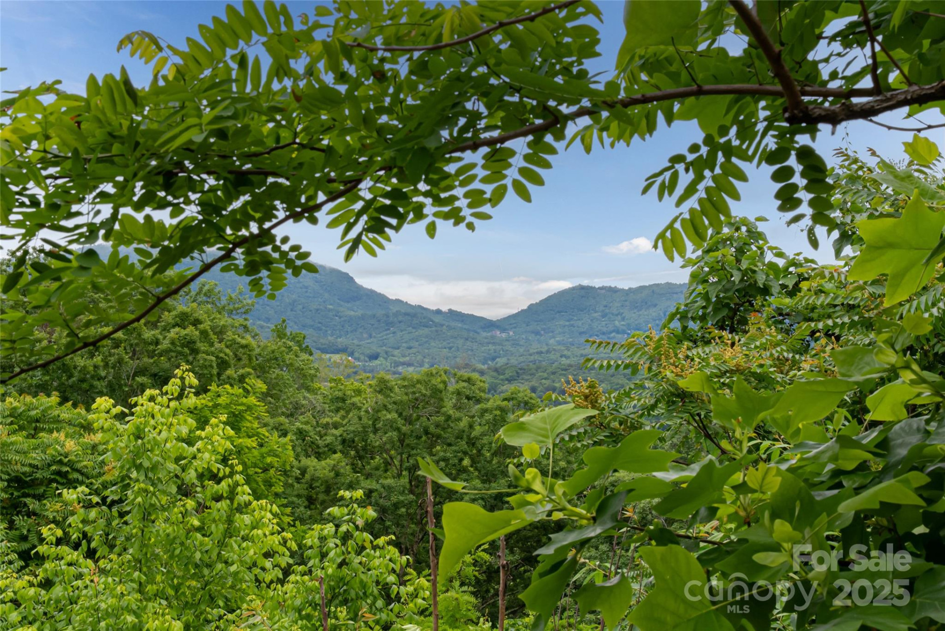 22 Samuel Ashe Drive #45 - Photo 2