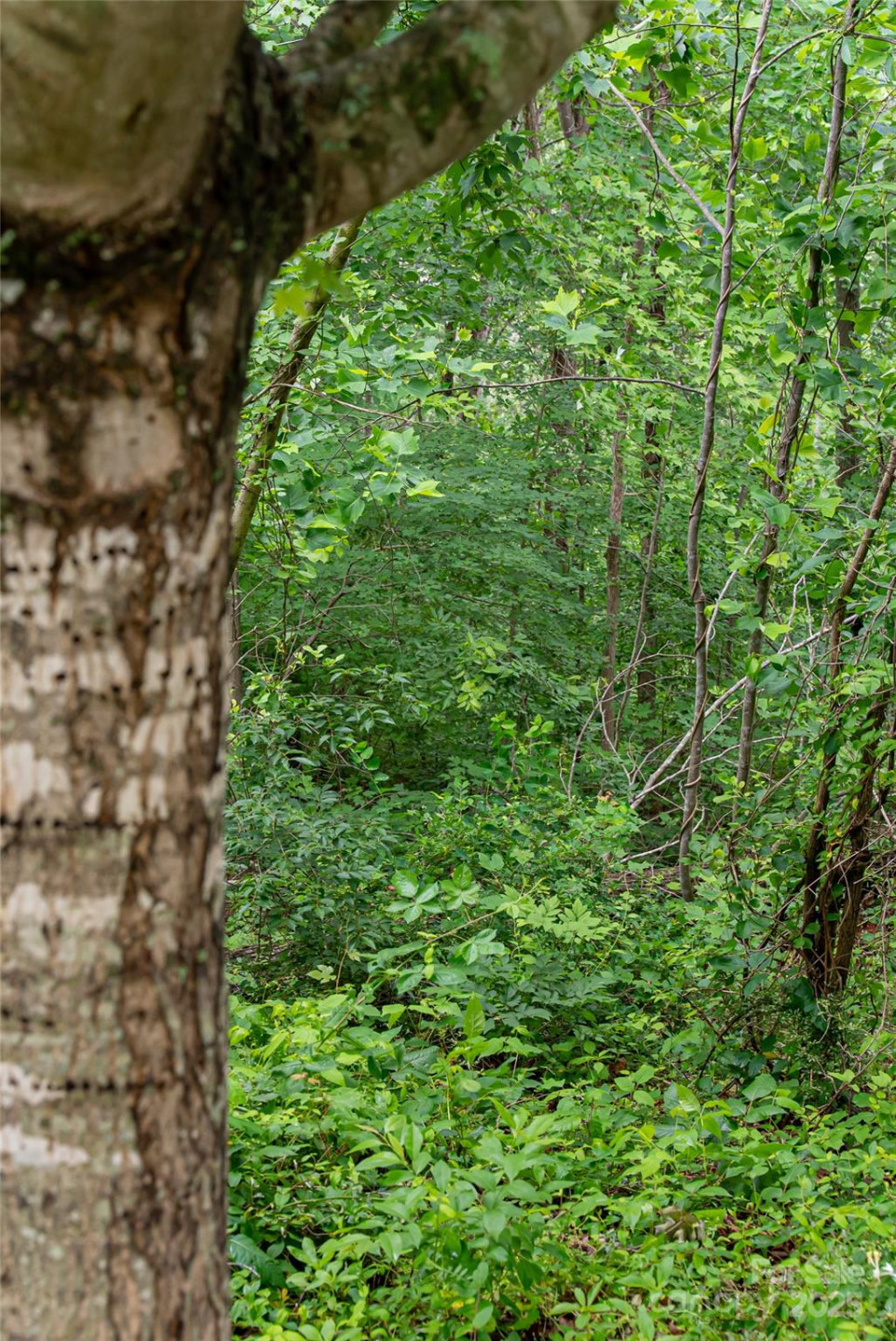 22 Samuel Ashe Drive #45 - Photo 11