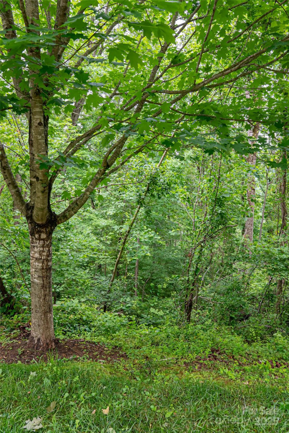 22 Samuel Ashe Drive #45 - Photo 12