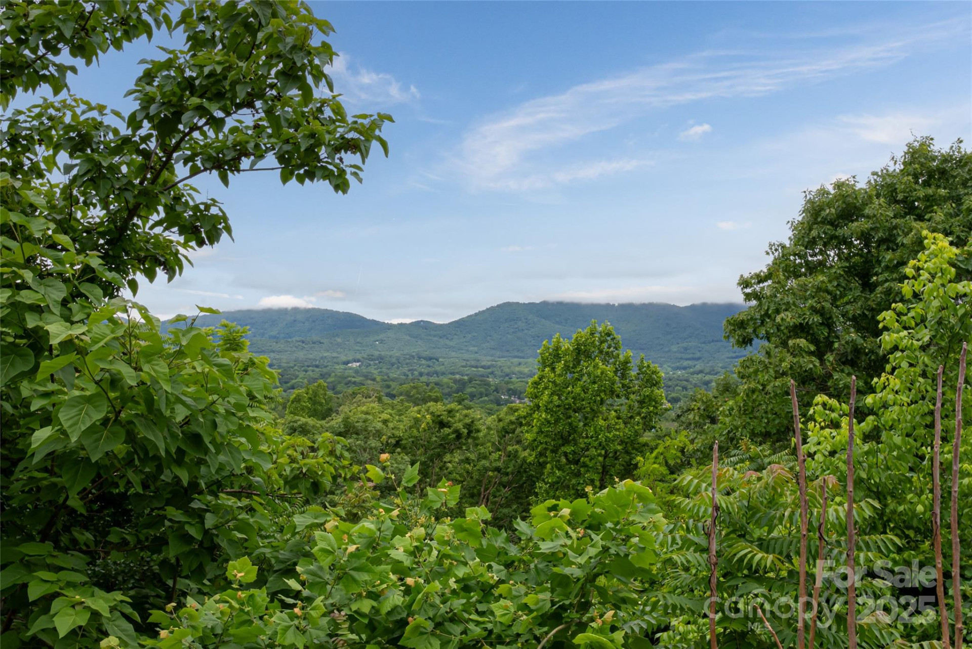 22 Samuel Ashe Drive #45 - Photo 6