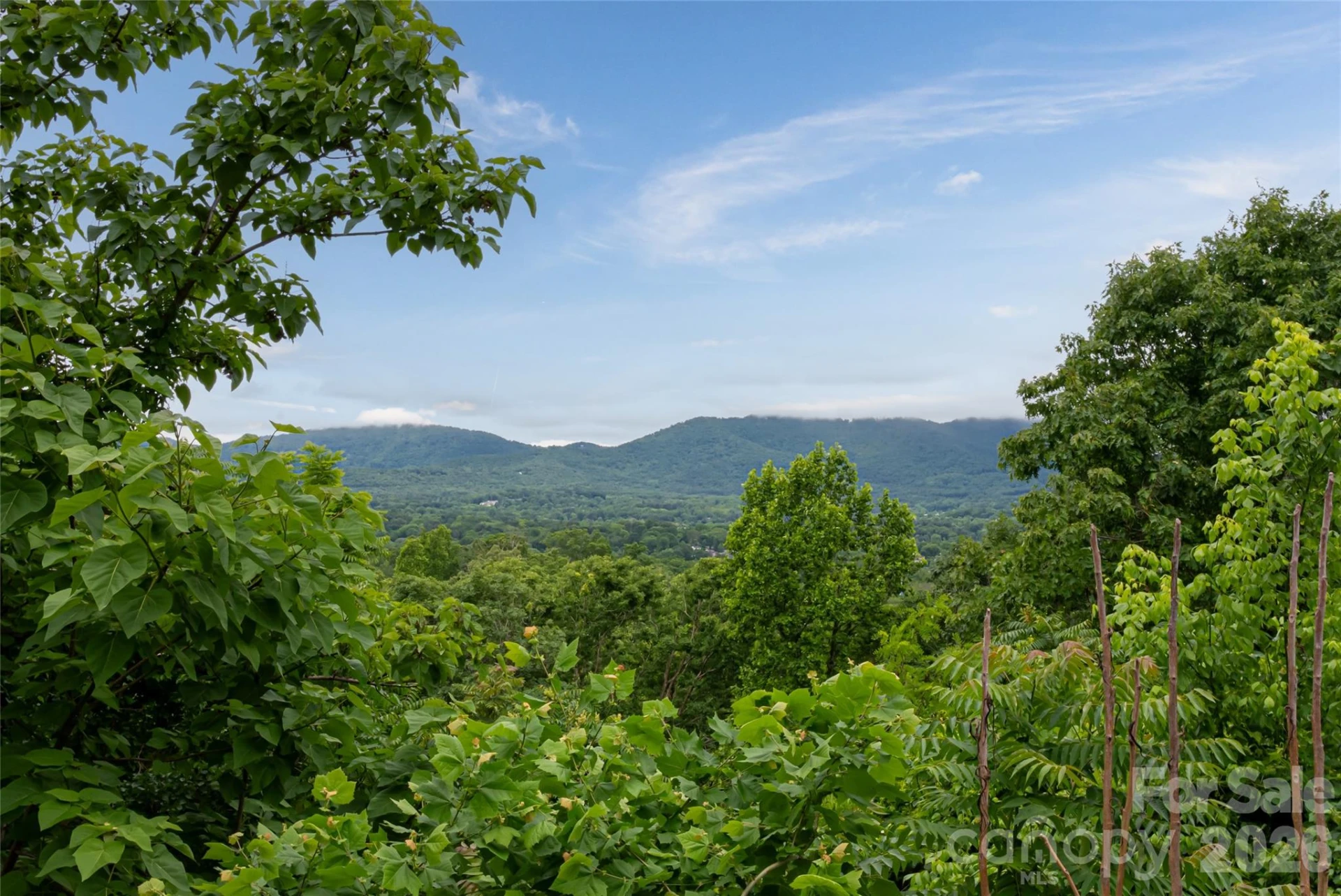 22 Samuel Ashe Drive #45 - Photo 6