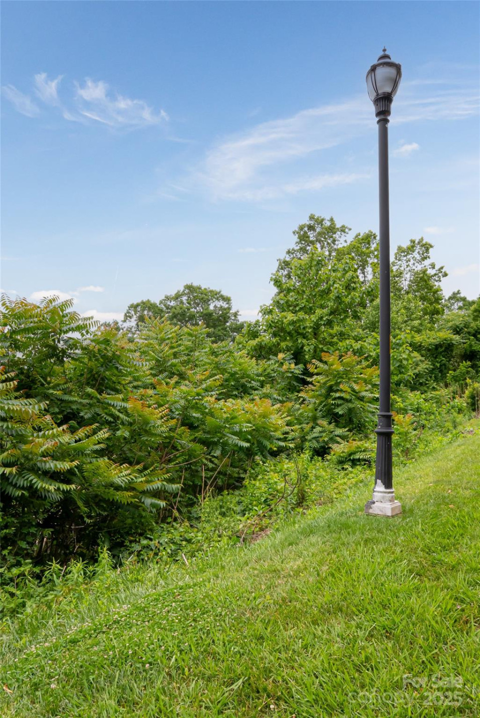 22 Samuel Ashe Drive #45 - Photo 8