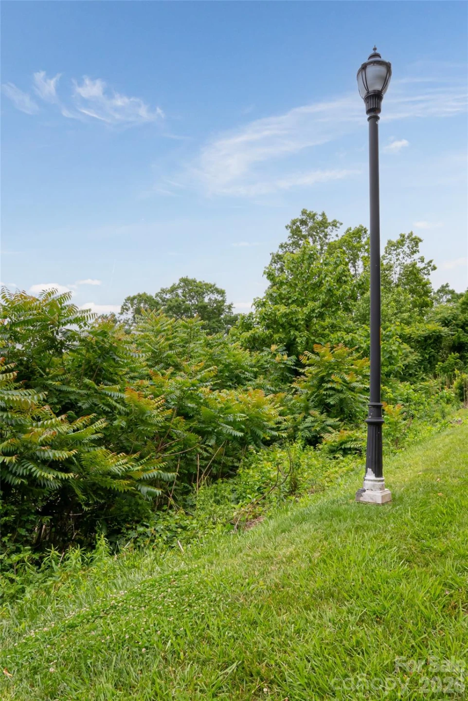 22 Samuel Ashe Drive #45 - Photo 8