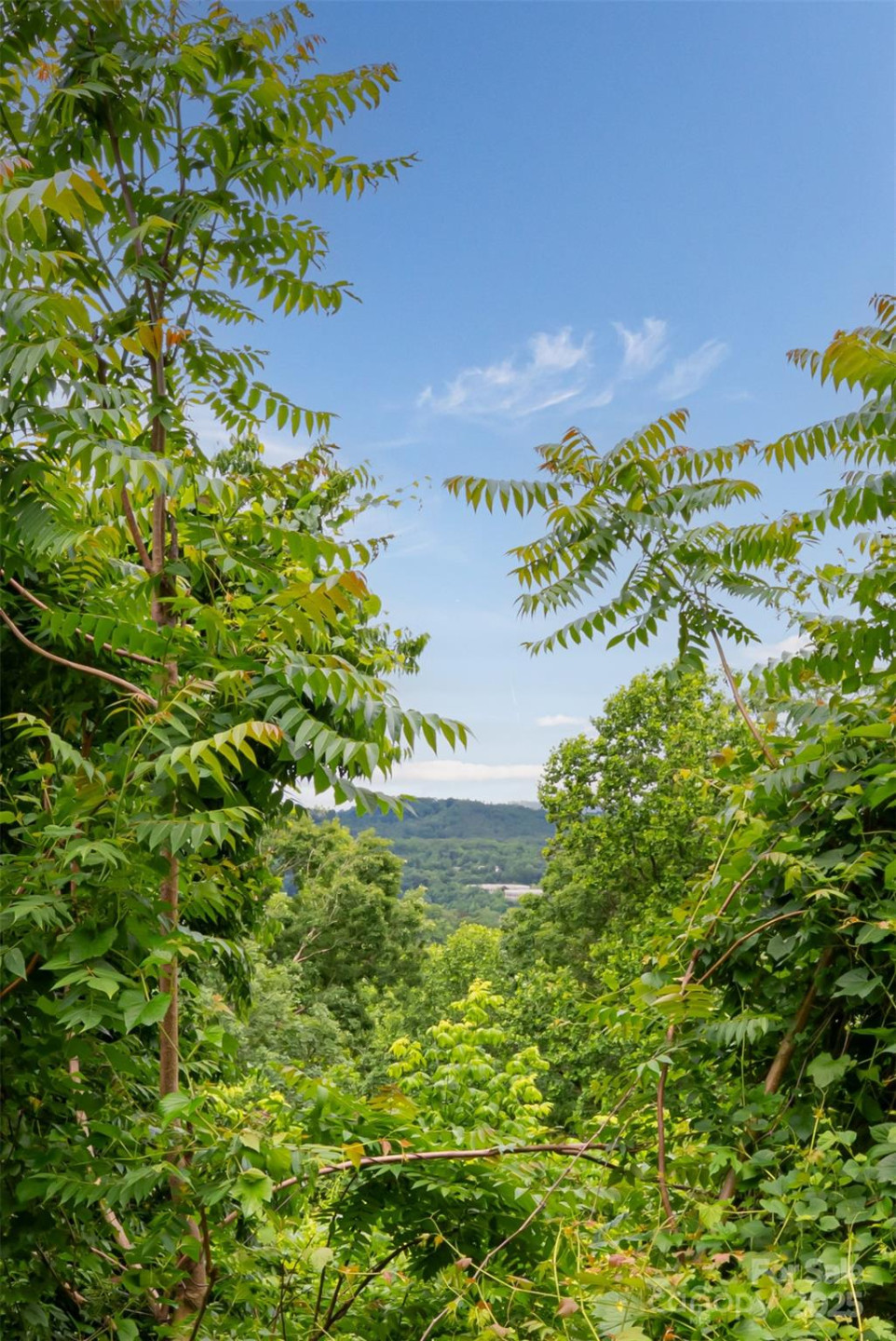 22 Samuel Ashe Drive #45 - Photo 9