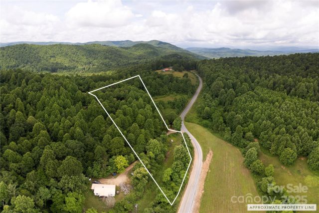 00 Pinnacle Mountain Road, Zirconia, NC, 28790