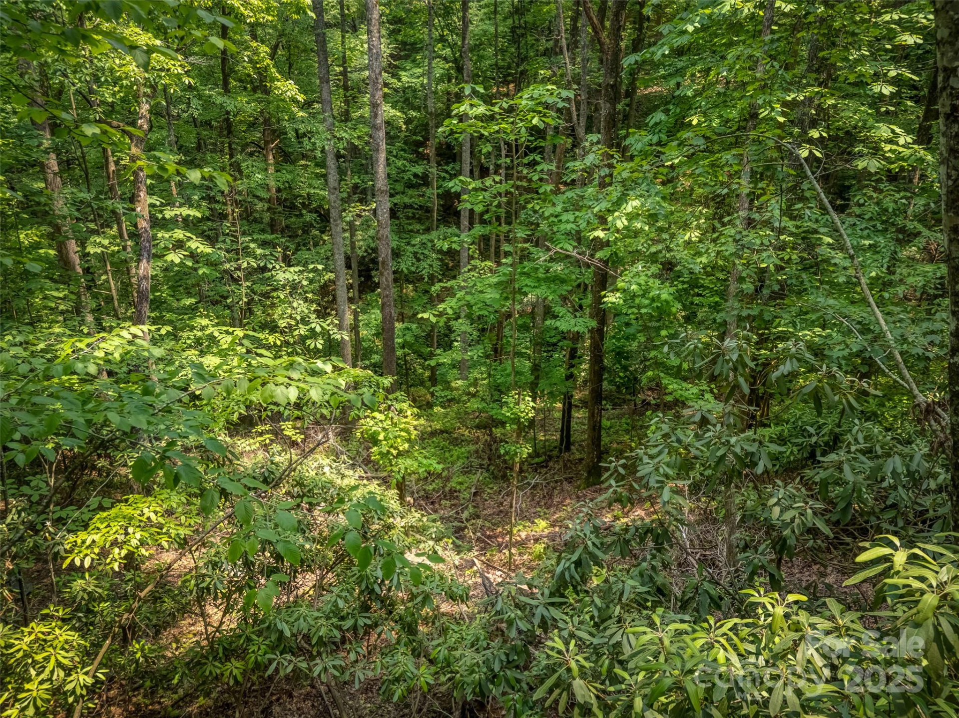 0000 Dotsi Drive - Photo 12