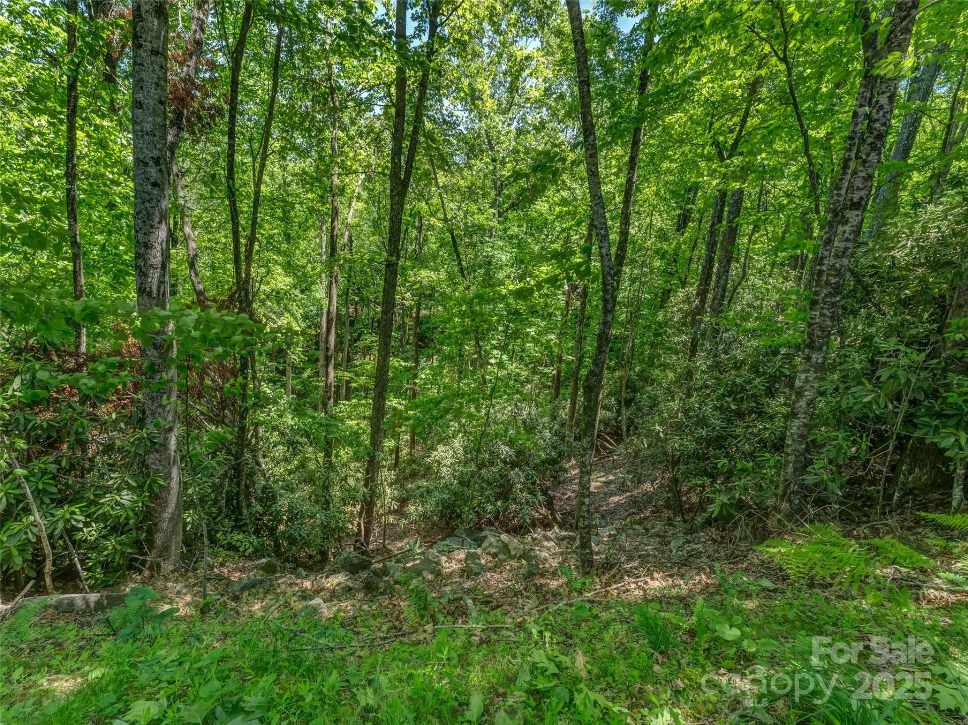 0000 Dotsi Drive - Photo 13