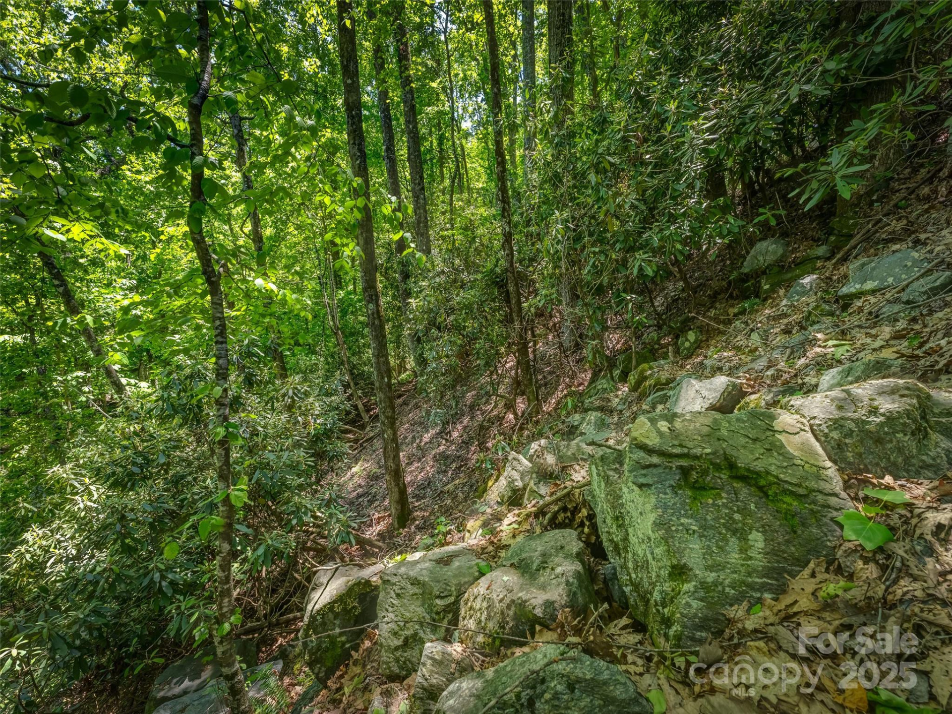 0000 Dotsi Drive - Photo 14