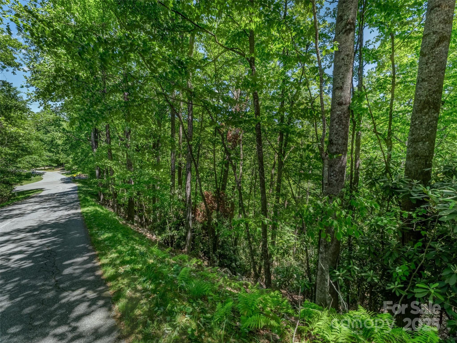 0000 Dotsi Drive - Photo 4