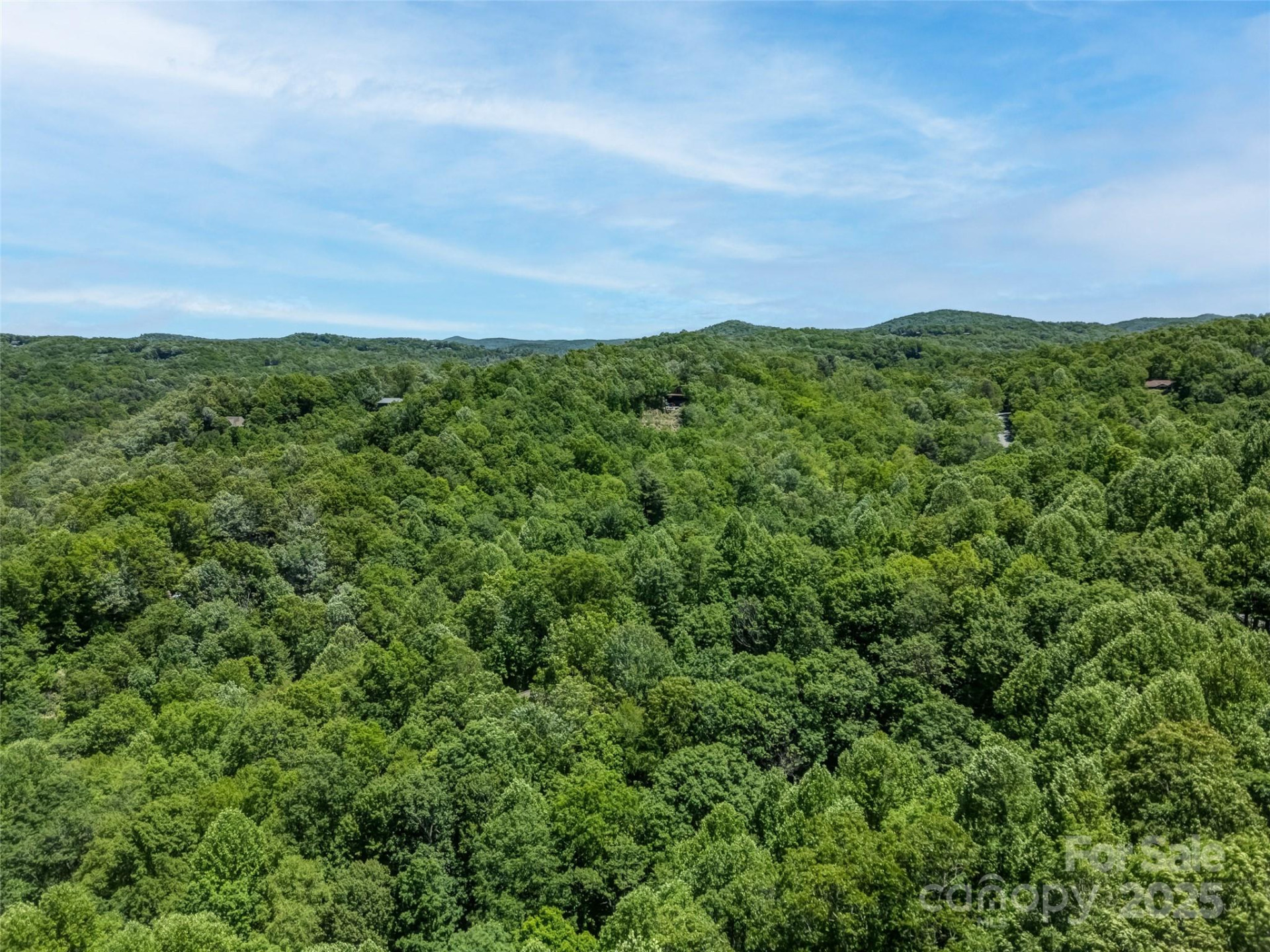 0000 Dotsi Drive - Photo 5