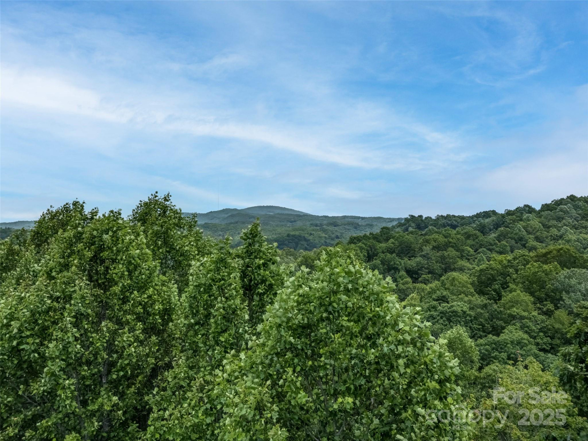 0000 Dotsi Drive - Photo 8