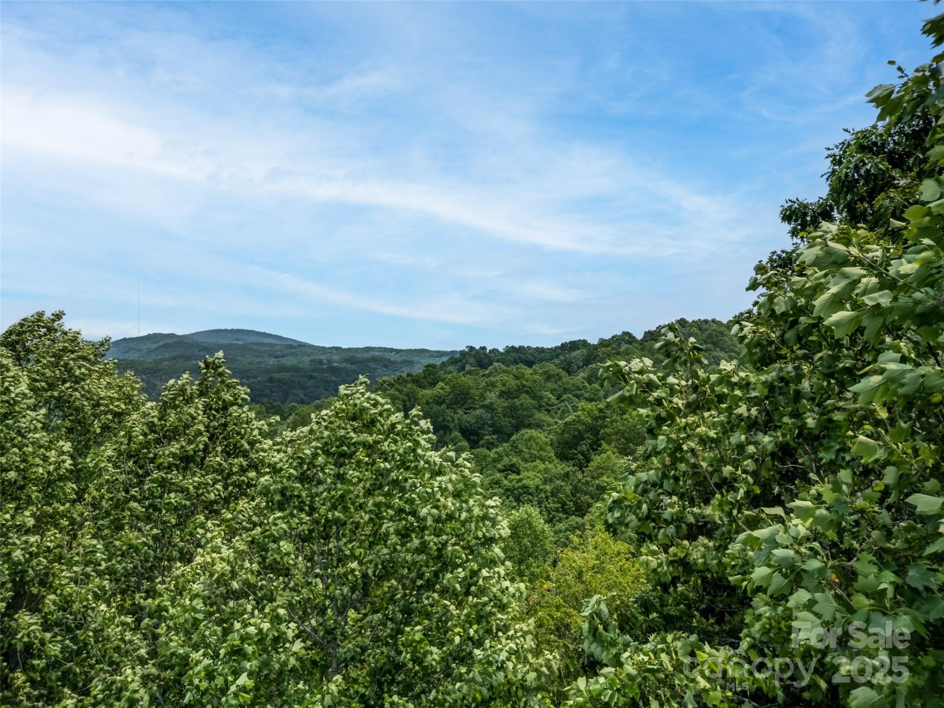 0000 Dotsi Drive - Photo 9