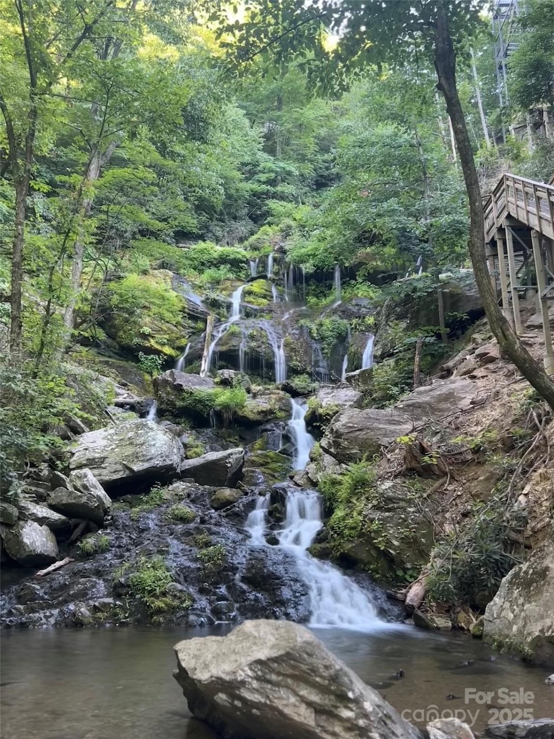 611 Bat Cave Road - Photo 6