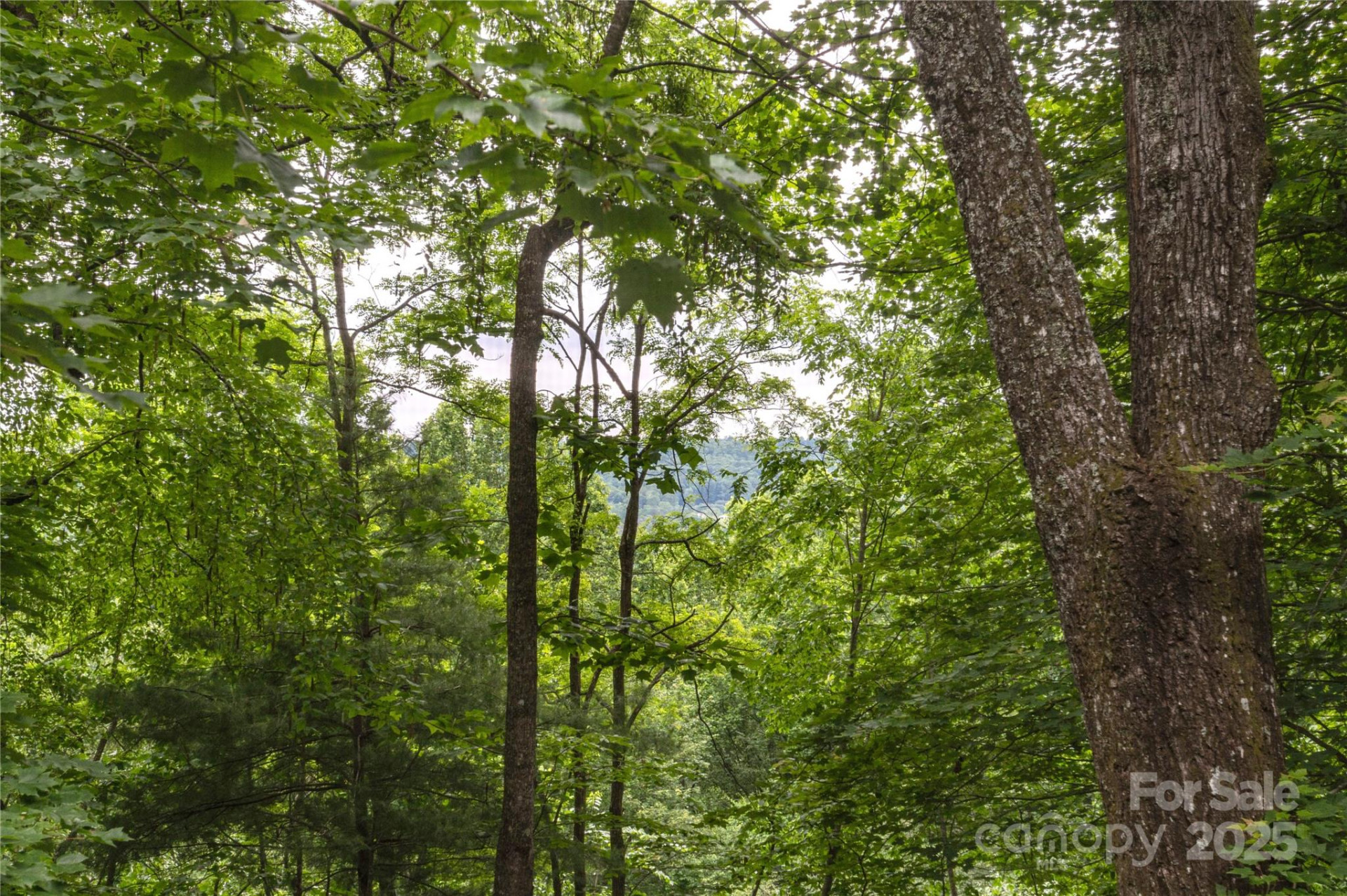 608 Surrey Glen Circle - Photo 28