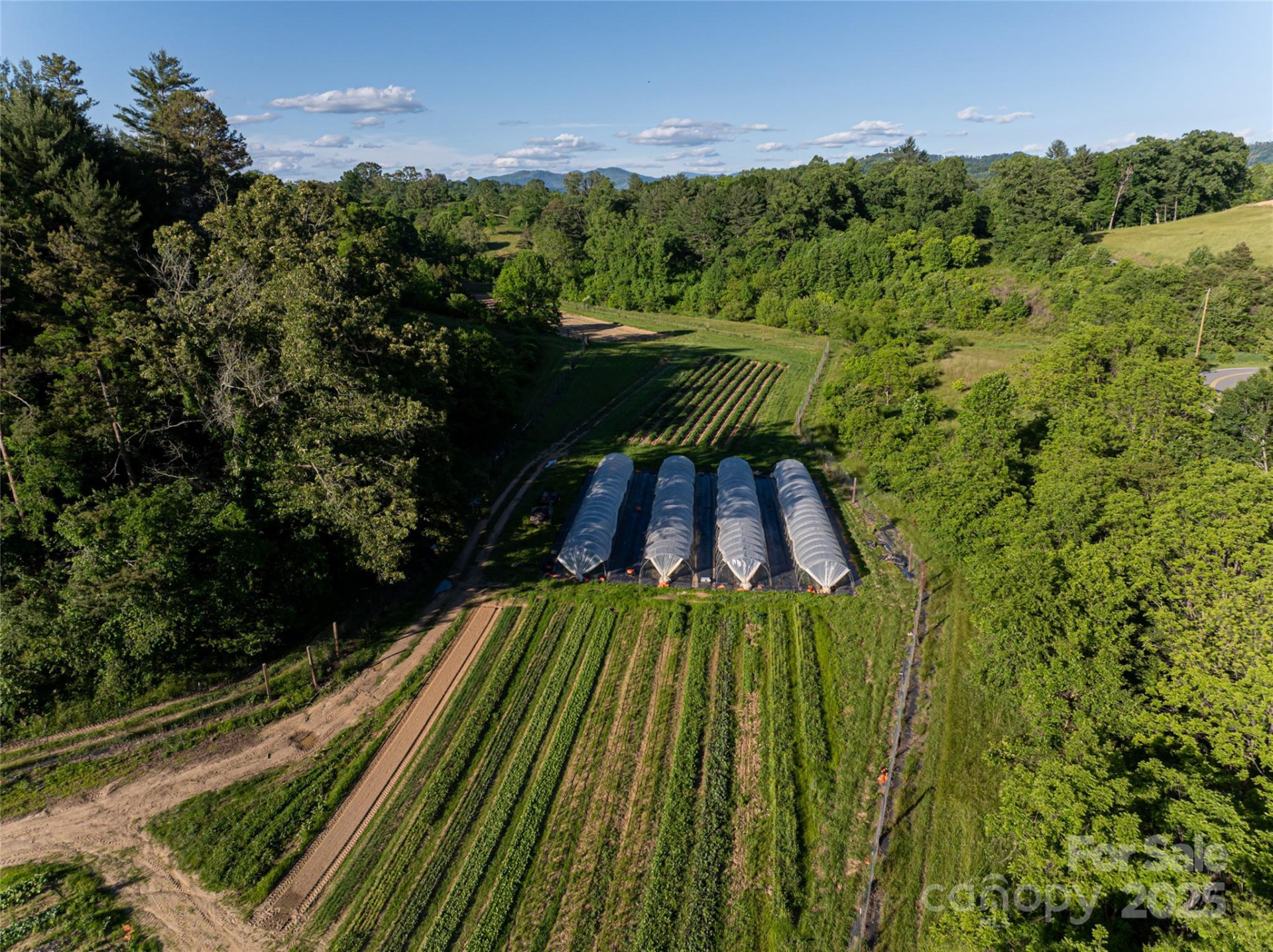 124 Lilikoi Lane #93 - Photo 17