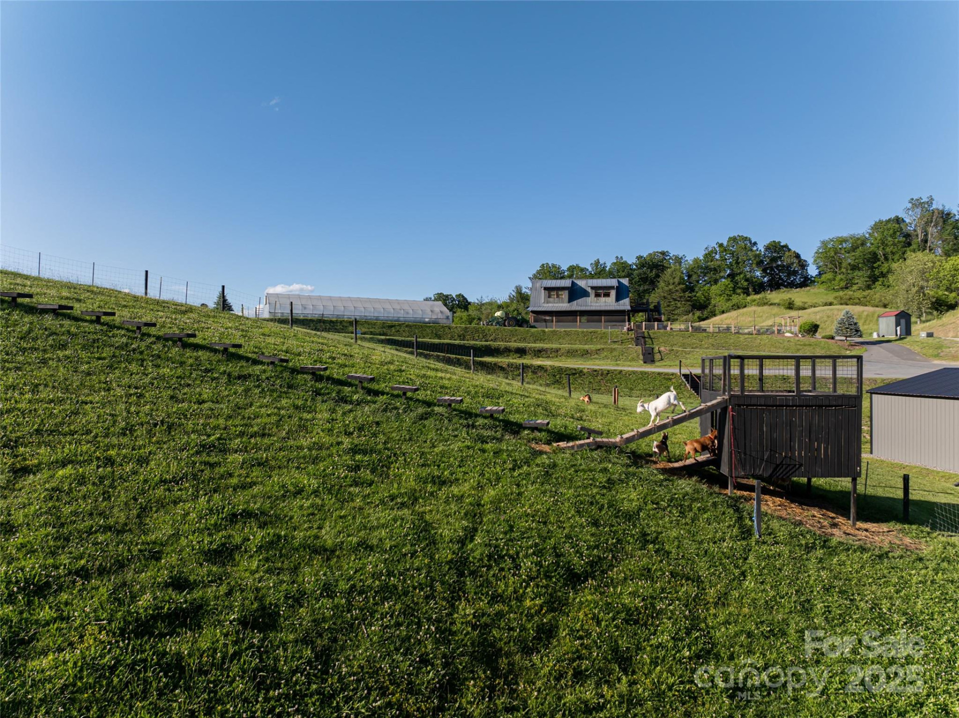 124 Lilikoi Lane #93 - Photo 24