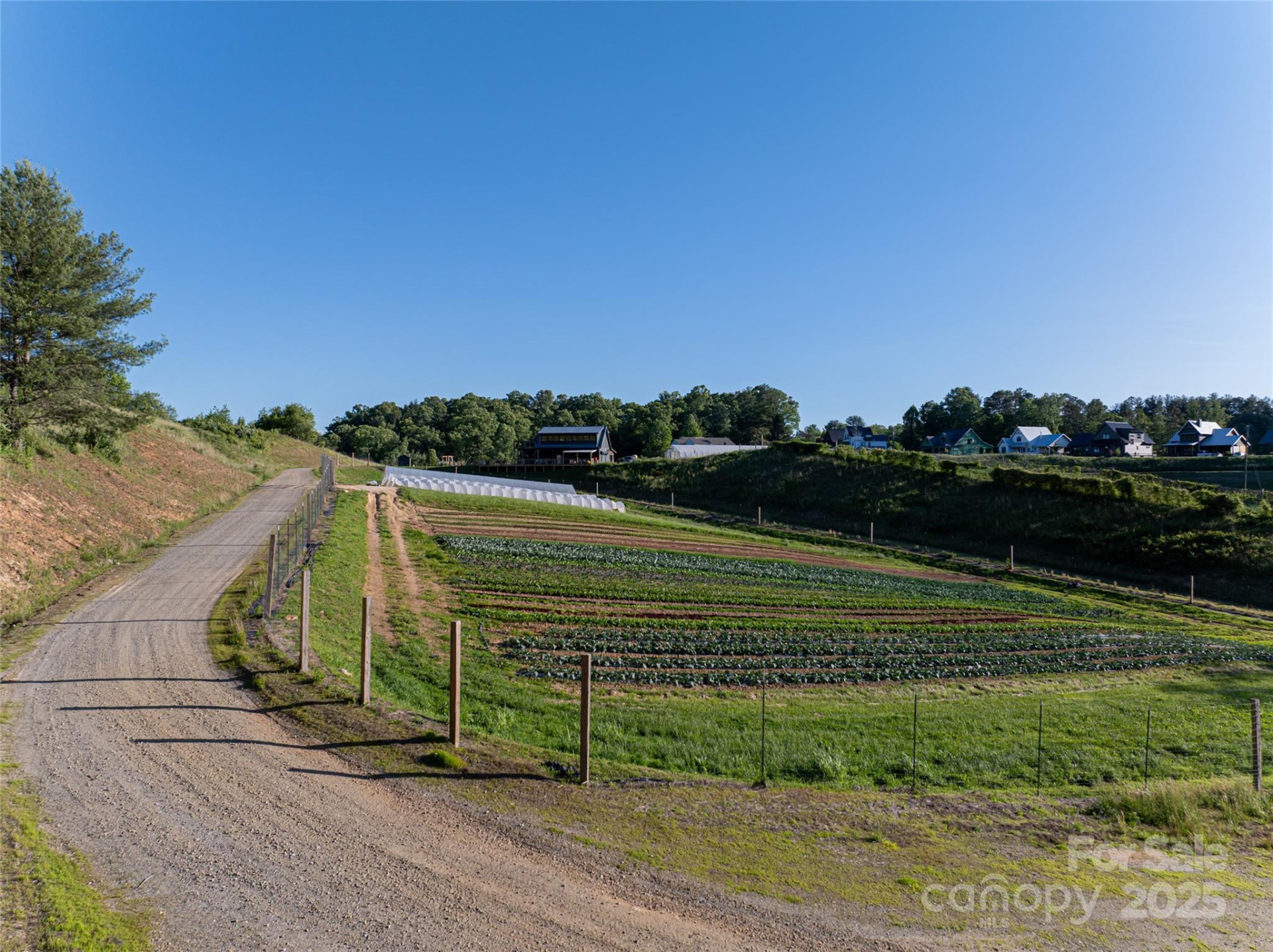 124 Lilikoi Lane #93 - Photo 25