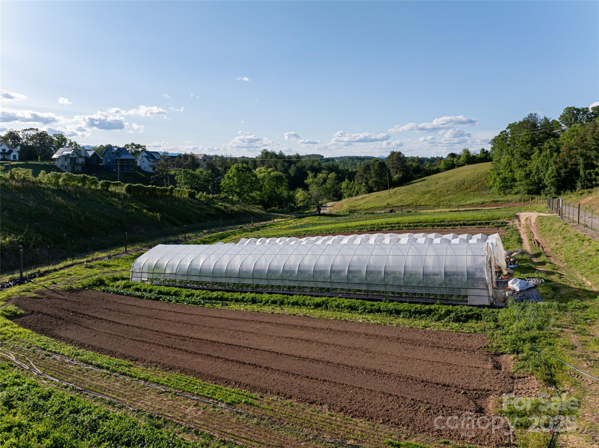 124 Lilikoi Lane #93 - Photo 28
