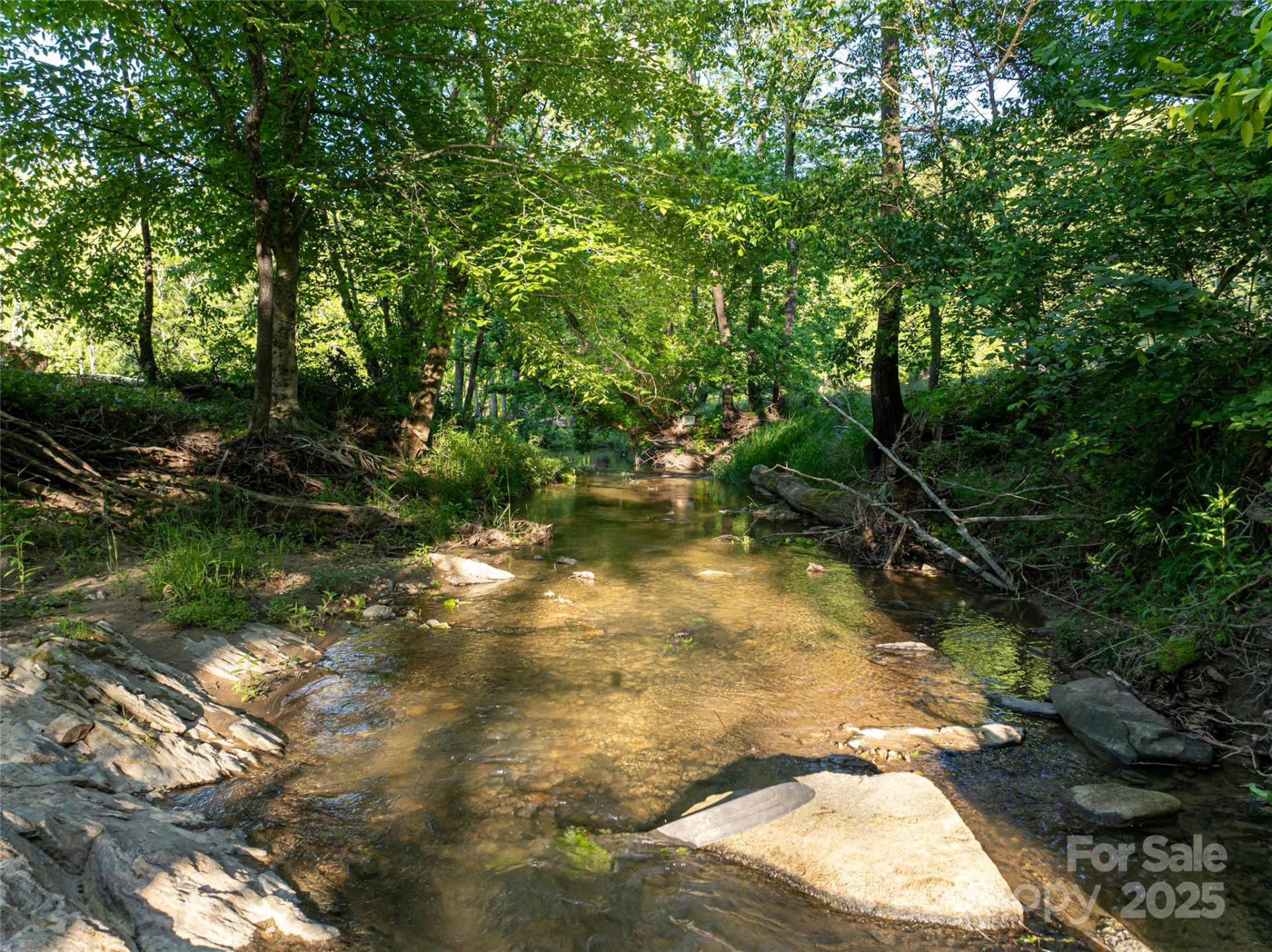 124 Lilikoi Lane #93 - Photo 38