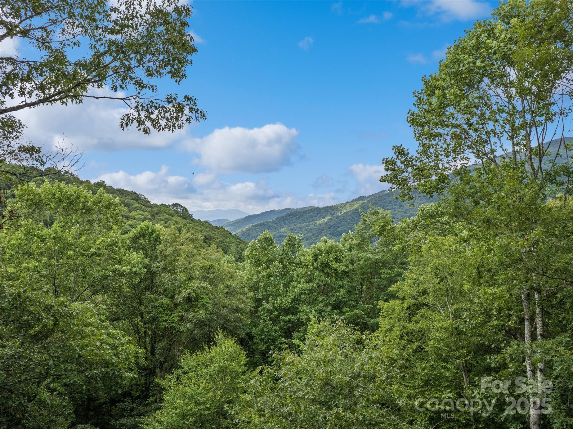 4231 Bald Creek Road - Photo 3