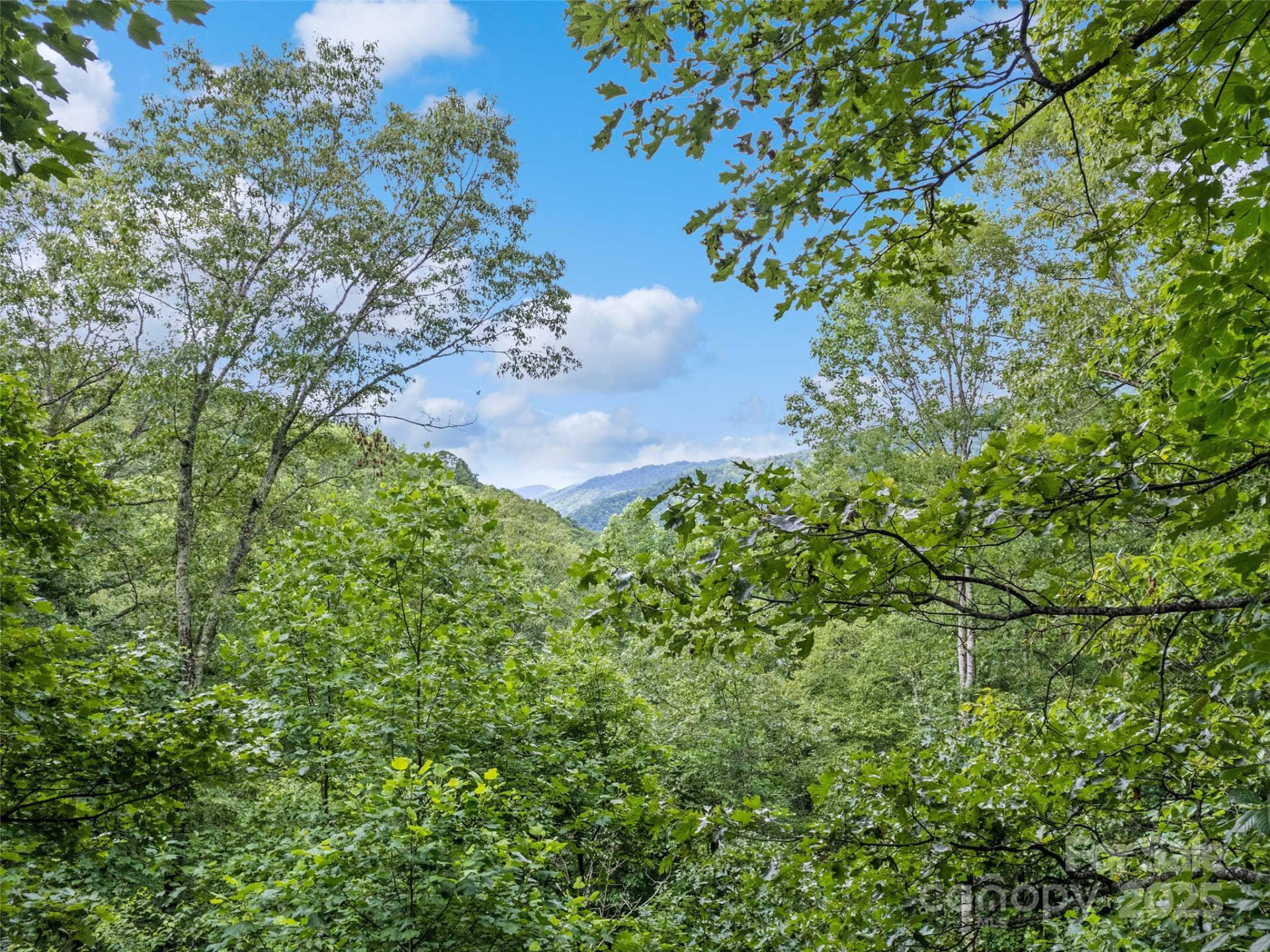 4231 Bald Creek Road - Photo 22