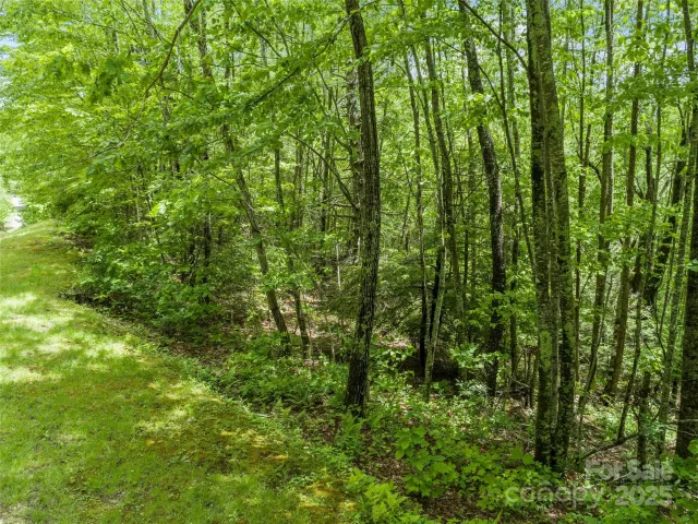000 Ridge Runner Road, Burnsville, NC, 28714