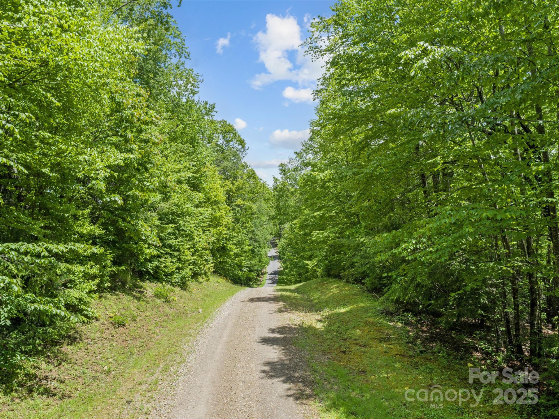 000 Ridge Runner Road #92 - Photo 2